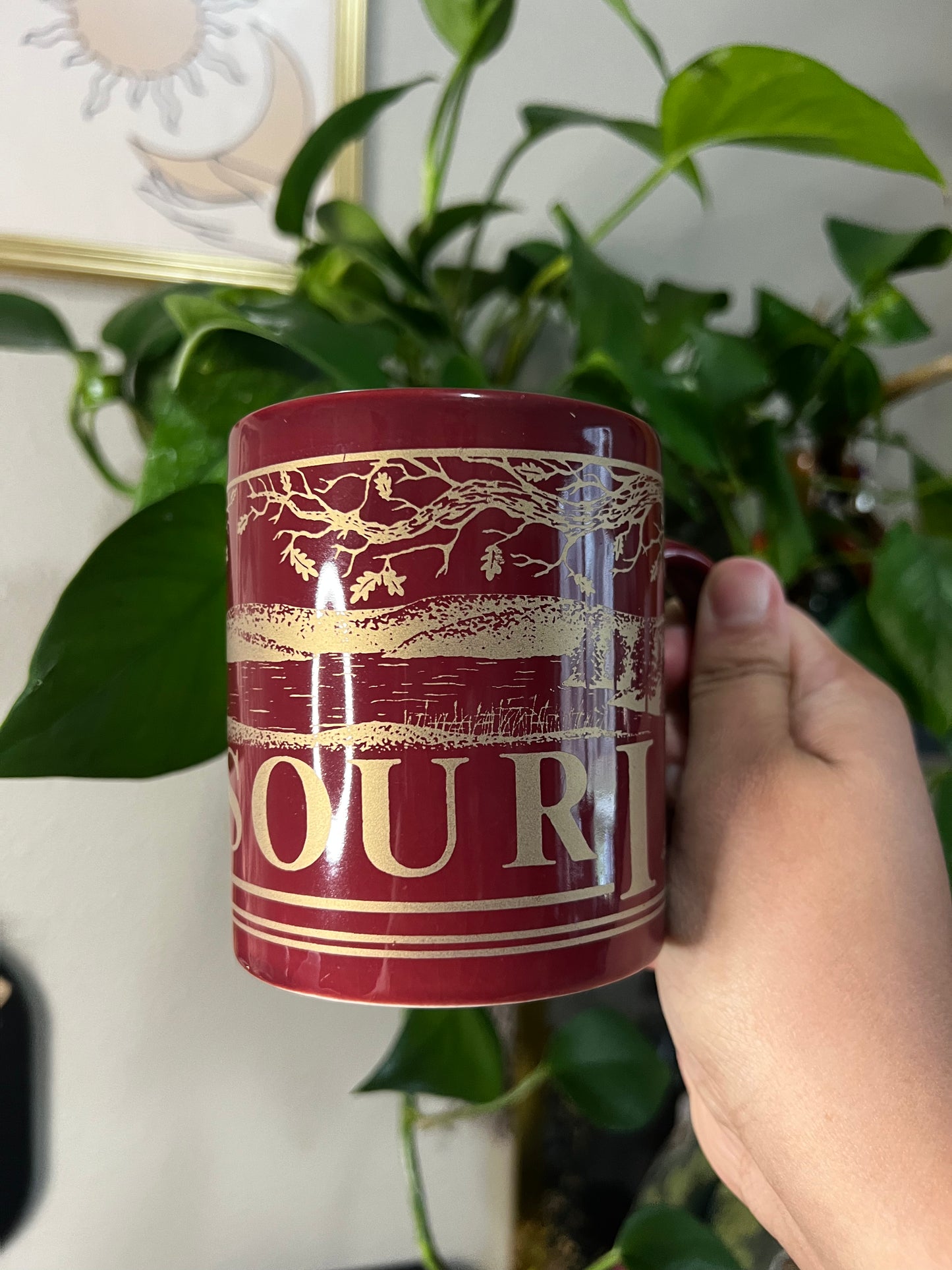 missouri mug