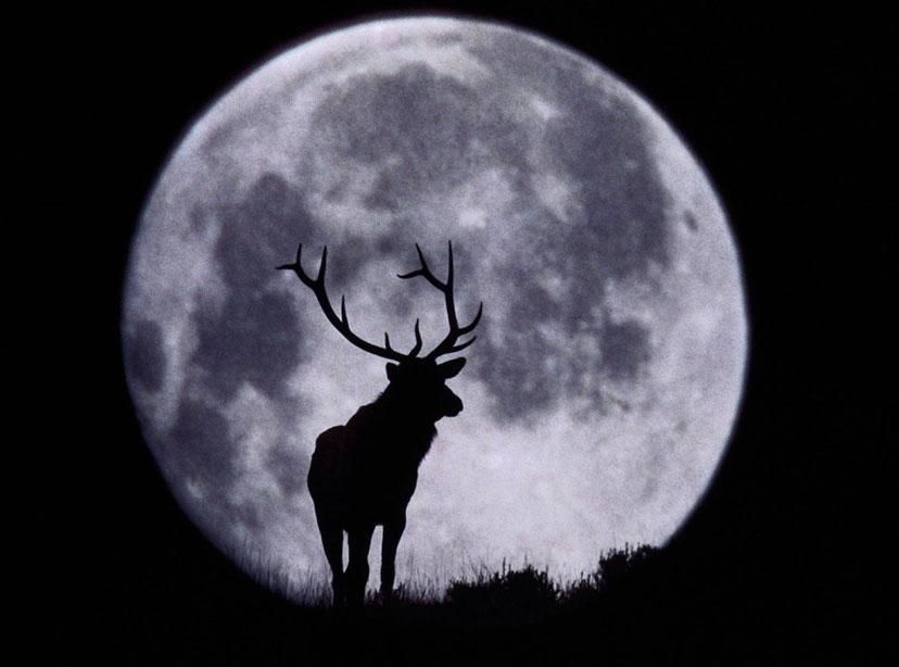 july's full moon in capricorn. awitchandafae