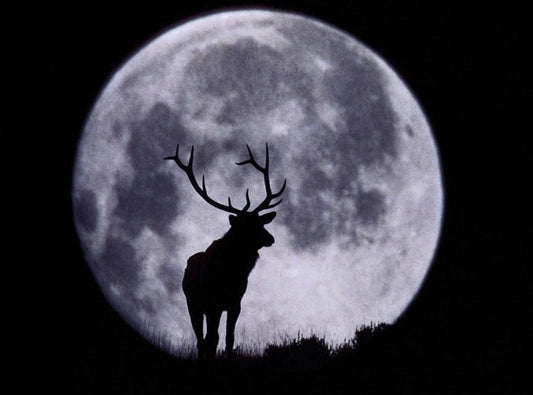 july's full moon in capricorn.