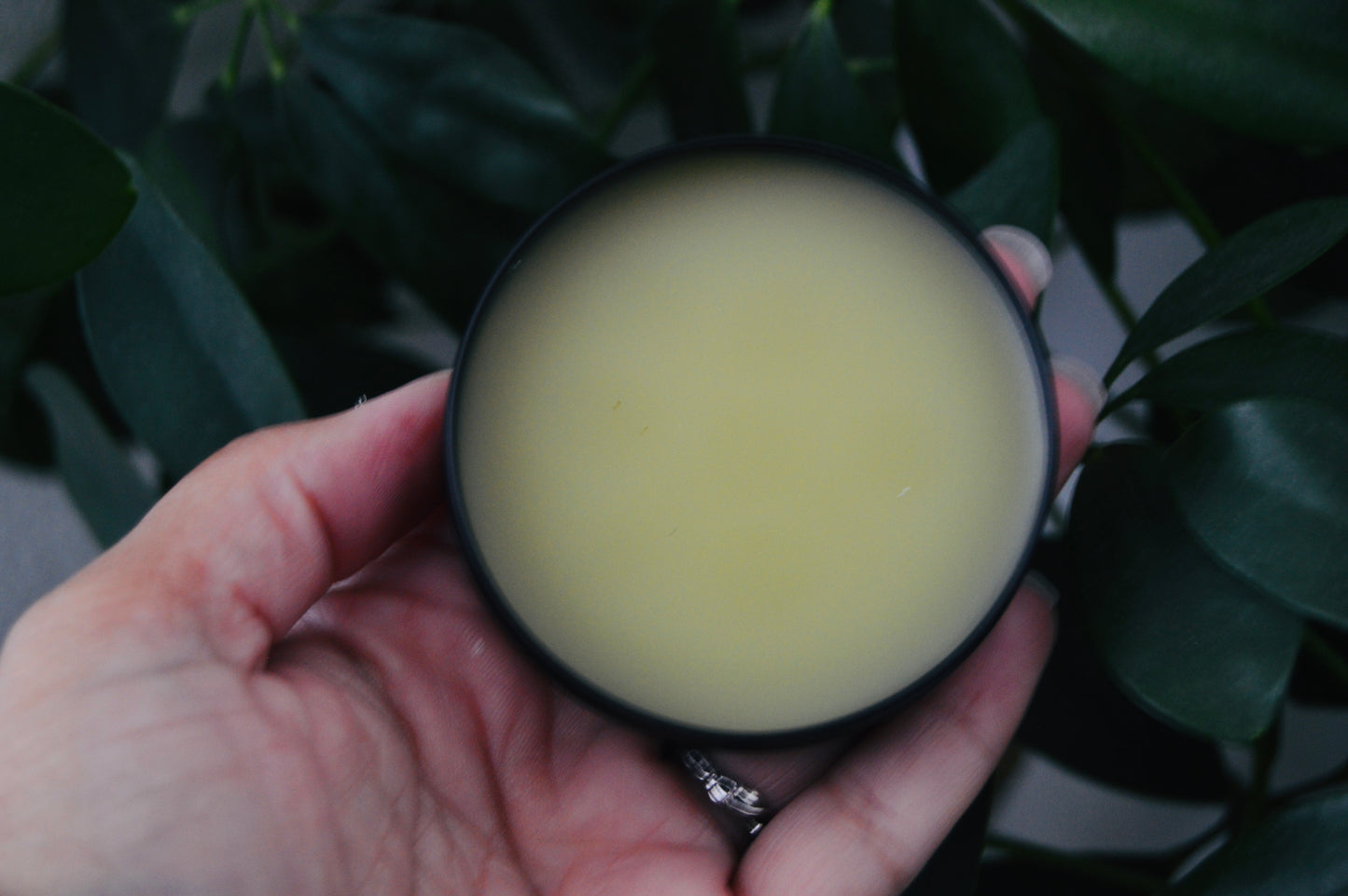 herbal healing salve