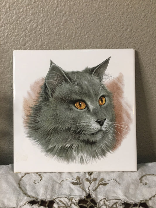 grey cat tile