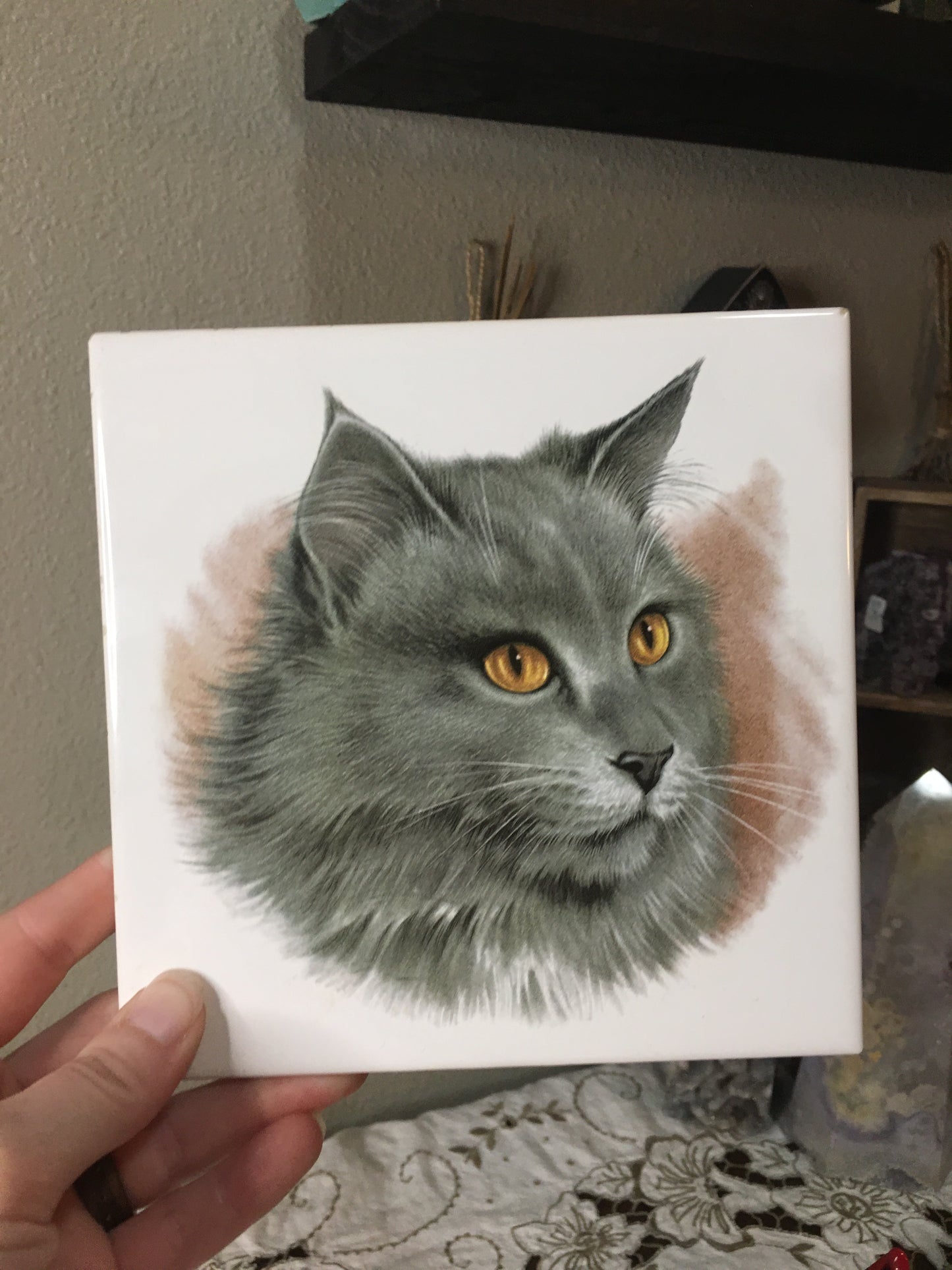 grey cat tile