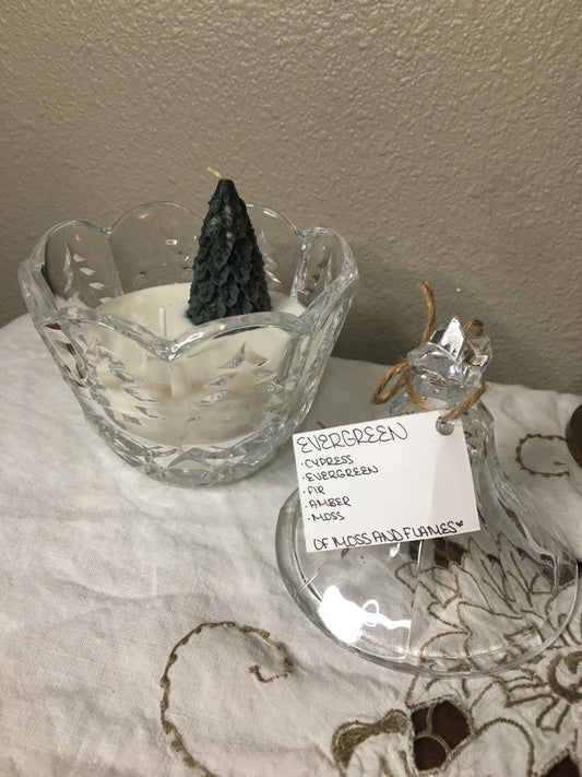 “evergreen” candle