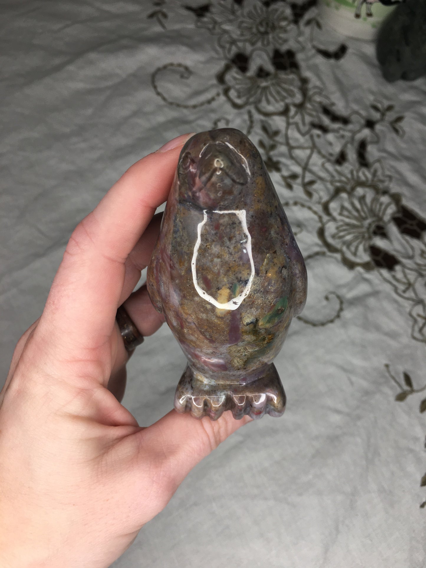 ocean jasper penguin