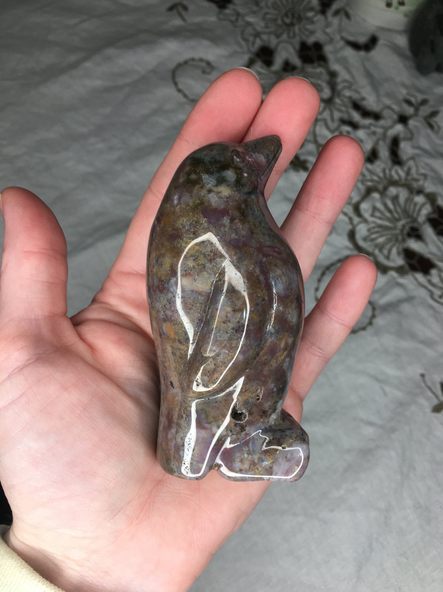 ocean jasper penguin