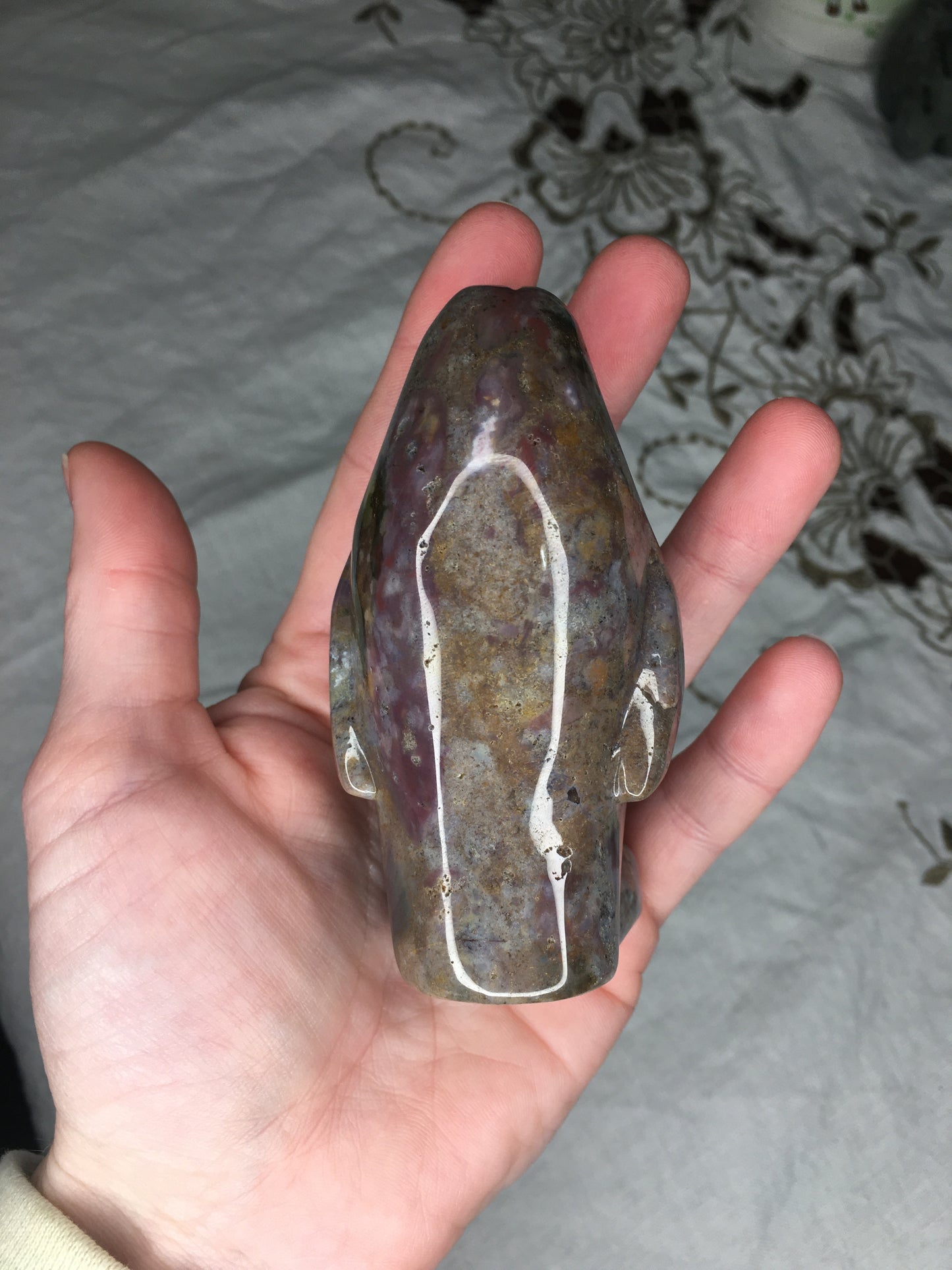 ocean jasper penguin