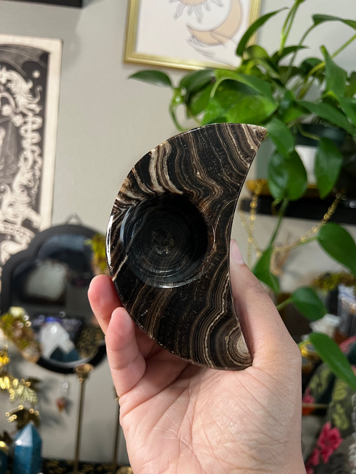 chocolate onyx moon tealight holders