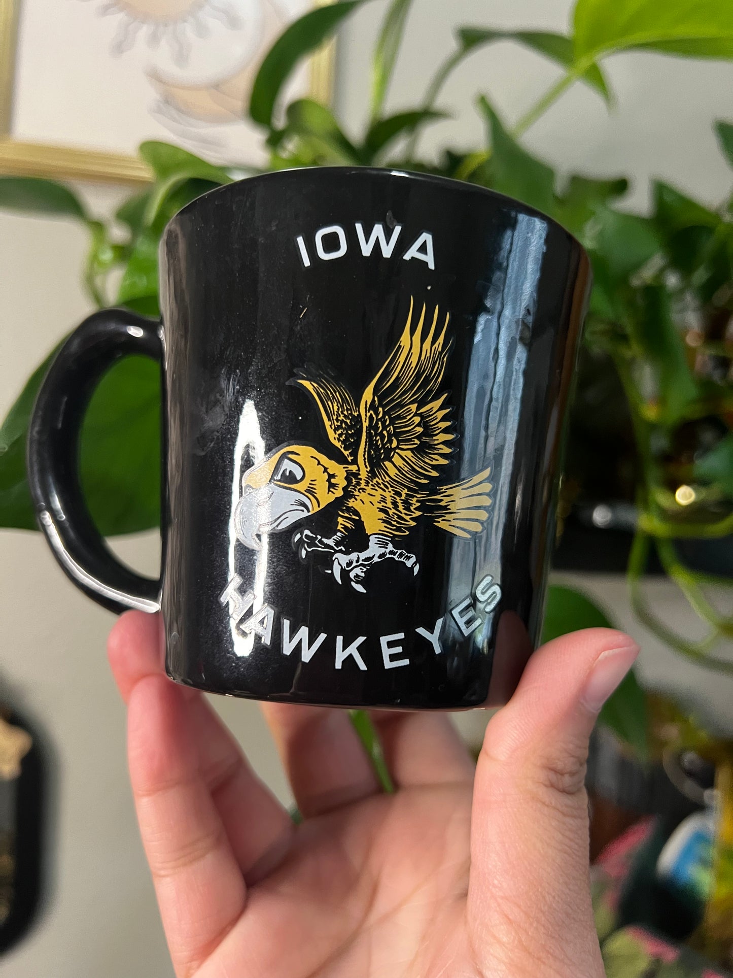 iowa hawkeyes mug