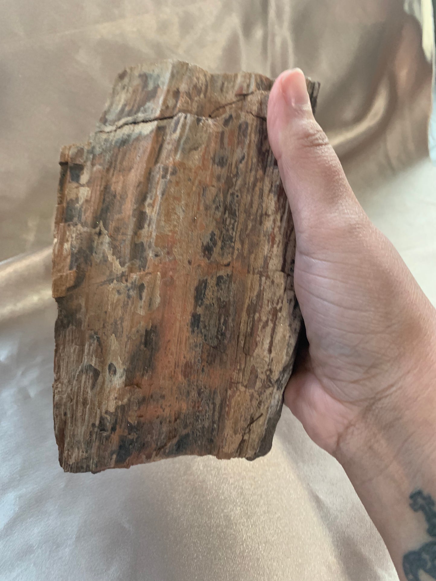 large petrified wood chunk