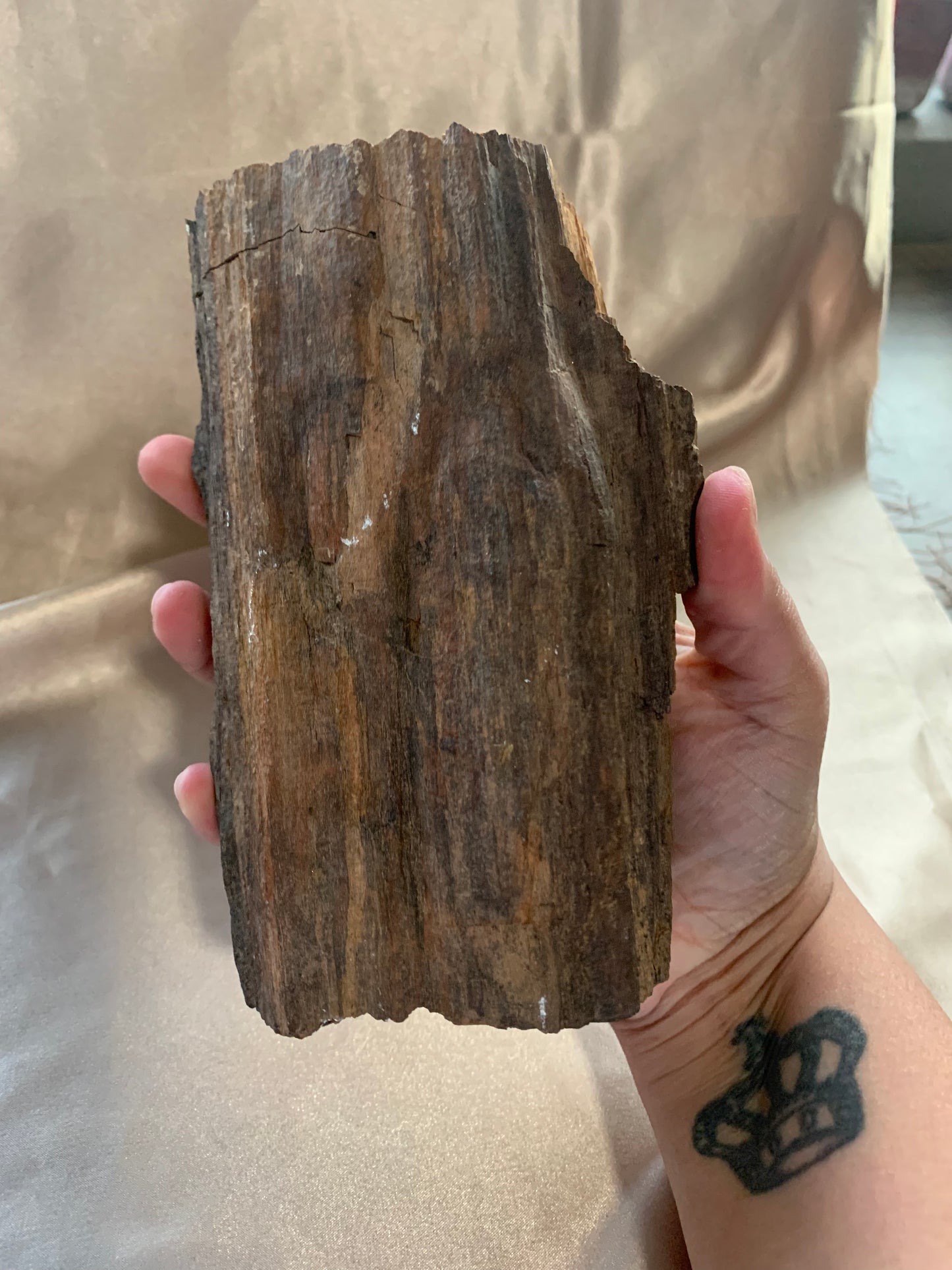 large petrified wood chunk
