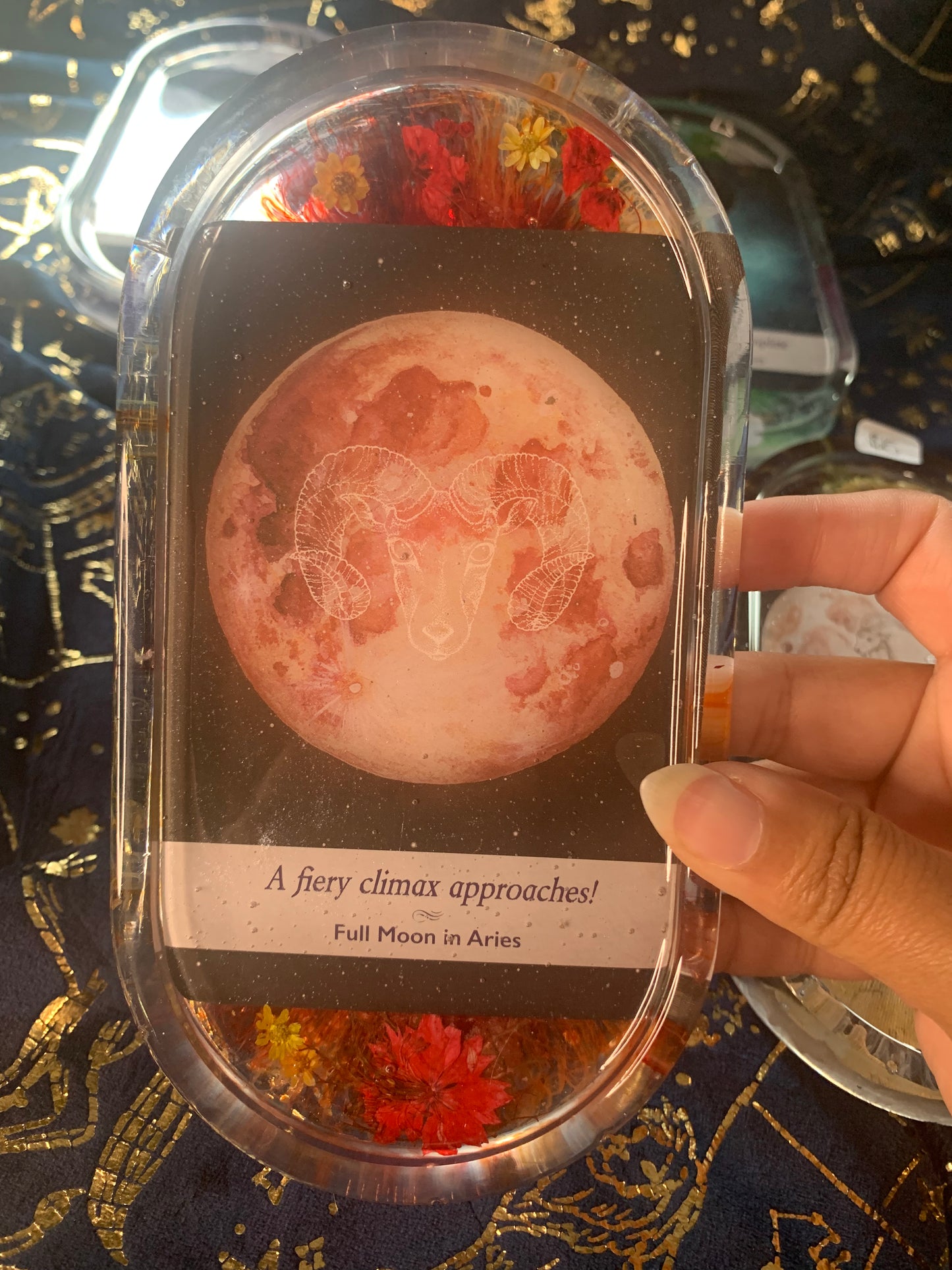 zodiac charging resin trays