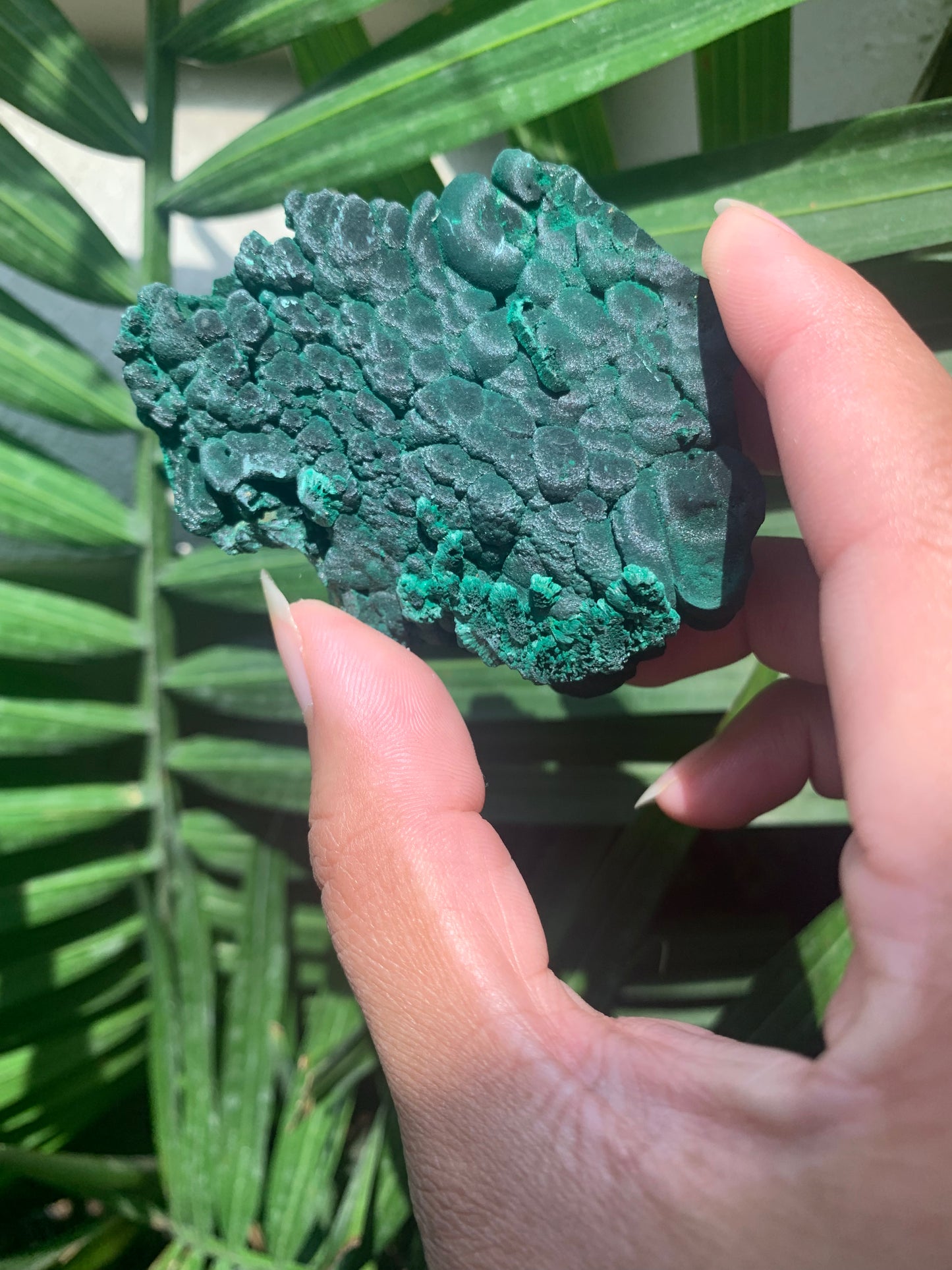 velvet malachite (raw)