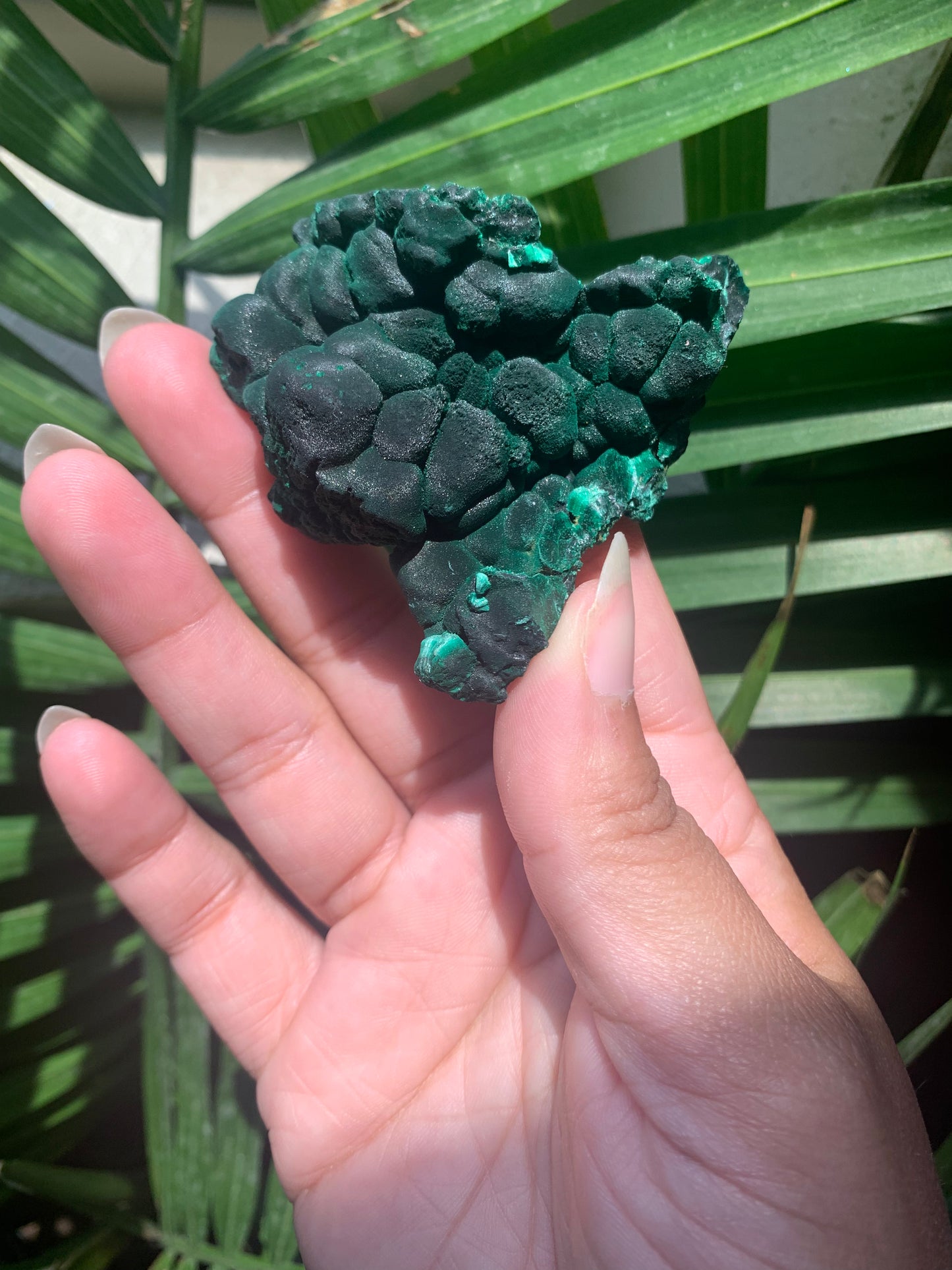 velvet malachite (raw)