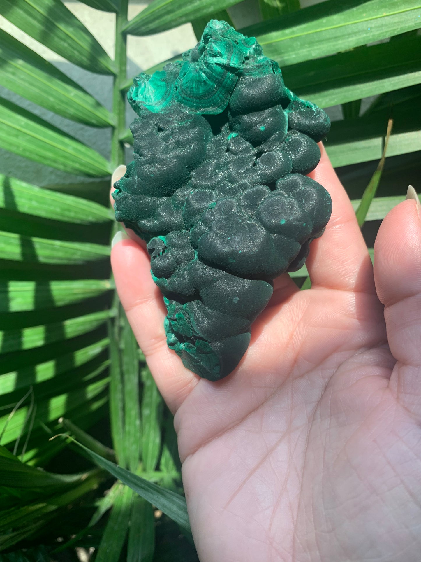 velvet malachite (raw)